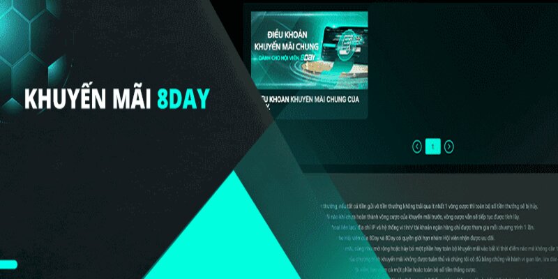 Chi tiết về đặc điểm của khuyến mãi tại 8DAY