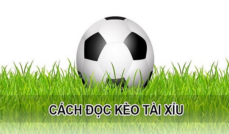 Đọc cược tài xỉu khá đơn giản và dễ hiểu